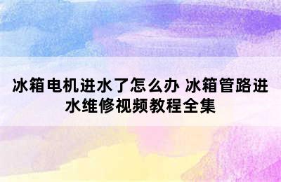 冰箱电机进水了怎么办 冰箱管路进水维修视频教程全集